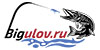 Bigulov - купить по доступной цене Интернет-магазине Наутилус